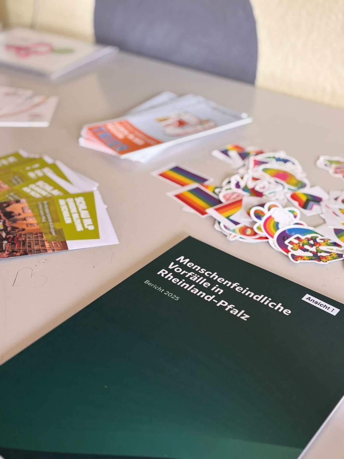 Jahresbericht der Meldestelle für menschenfeindliche Vorfälle in RLP (c) Anita Nohner Jahresbericht der Meldestelle für menschenfeindliche Vorfälle in RLP