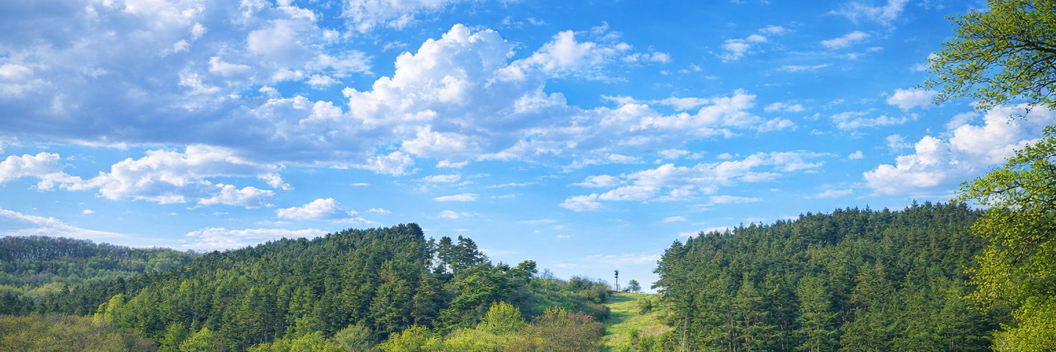 Landschaft im Frühling bei Üxheim