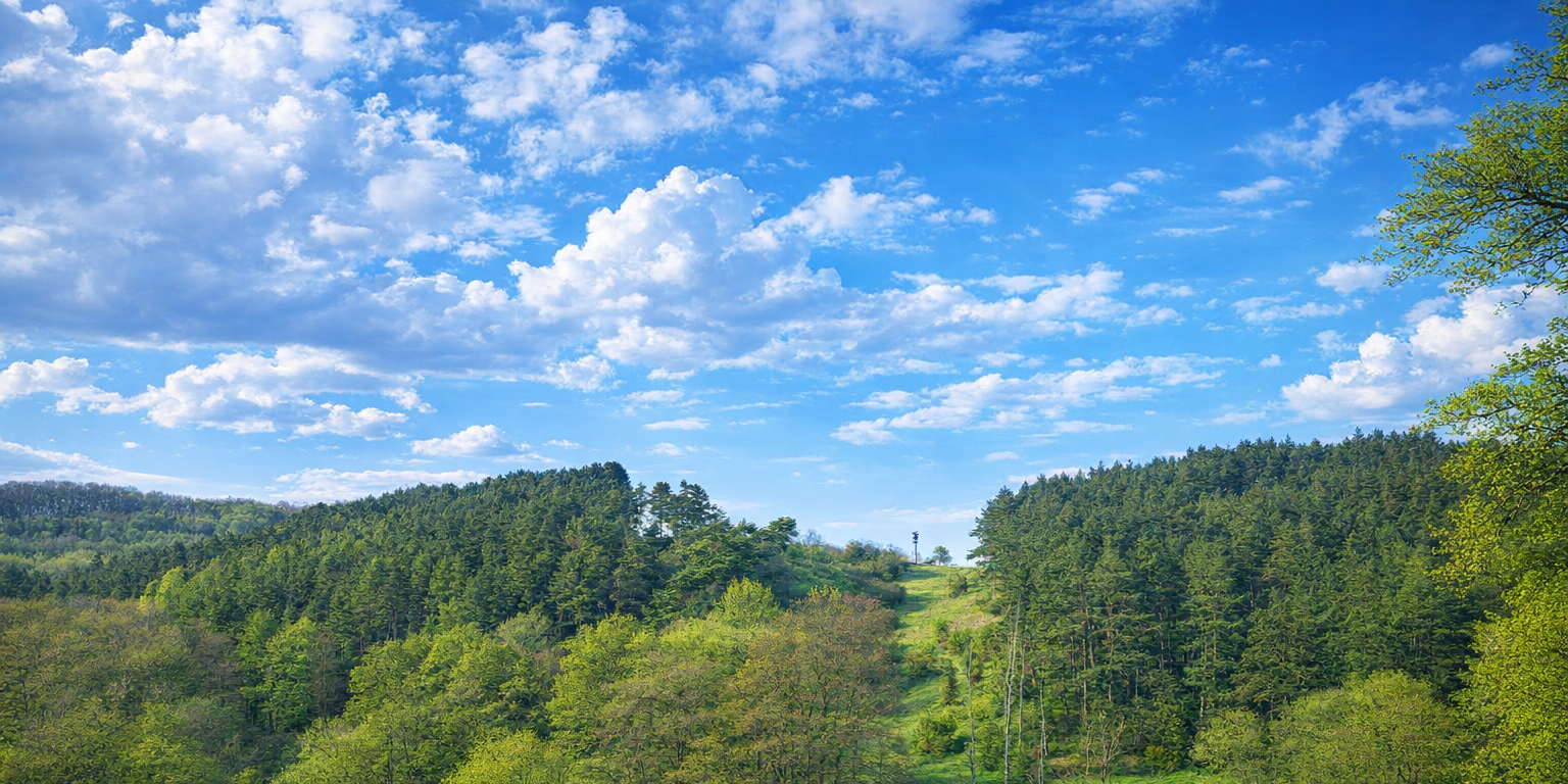 Landschaft im Frühling bei Üxheim