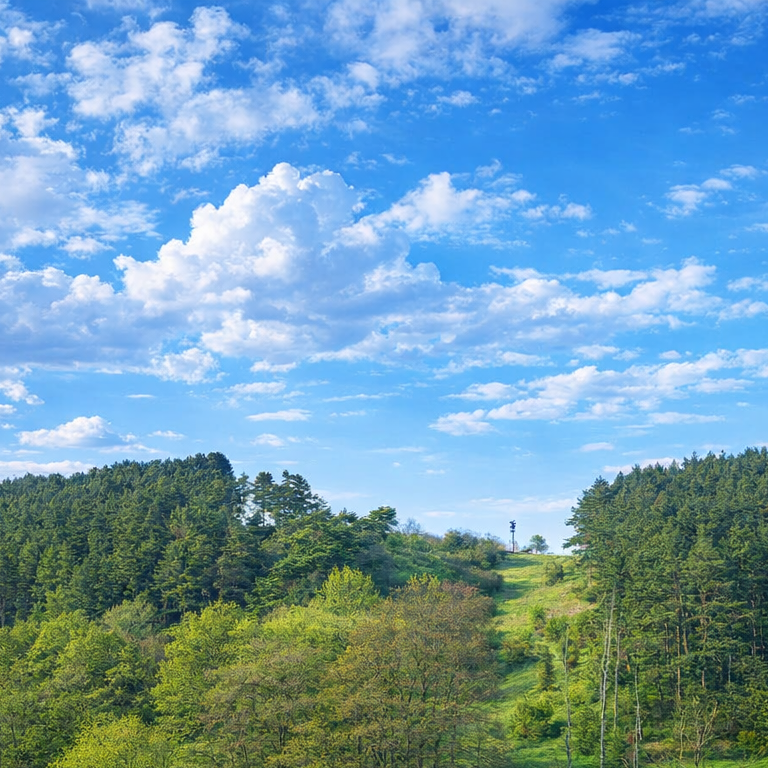 Landschaft im Frühling bei Üxheim