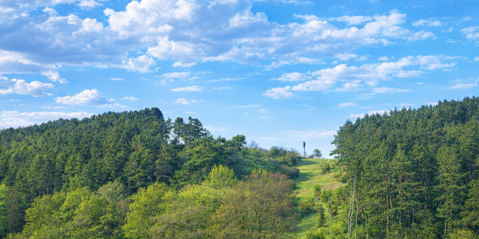 Frühling schmal