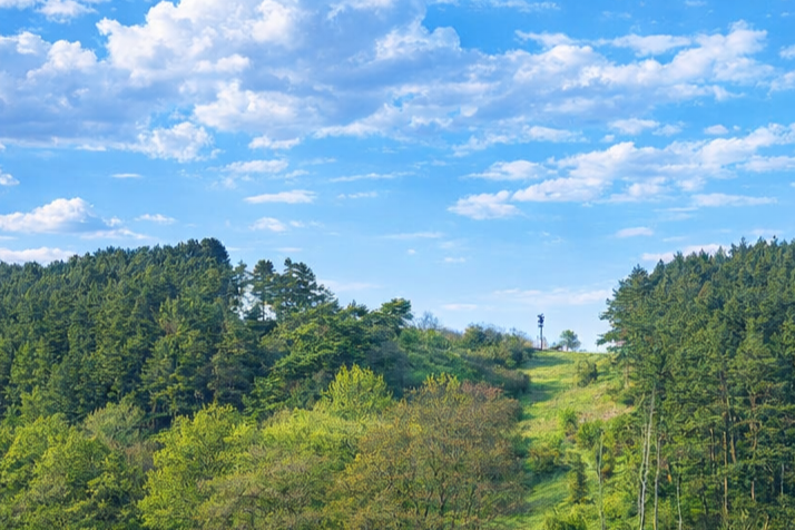 Frühling schmal