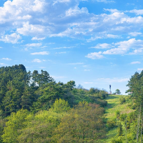 Frühling schmal