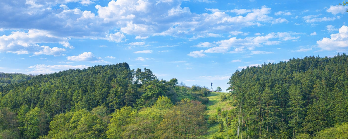 Frühling schmal