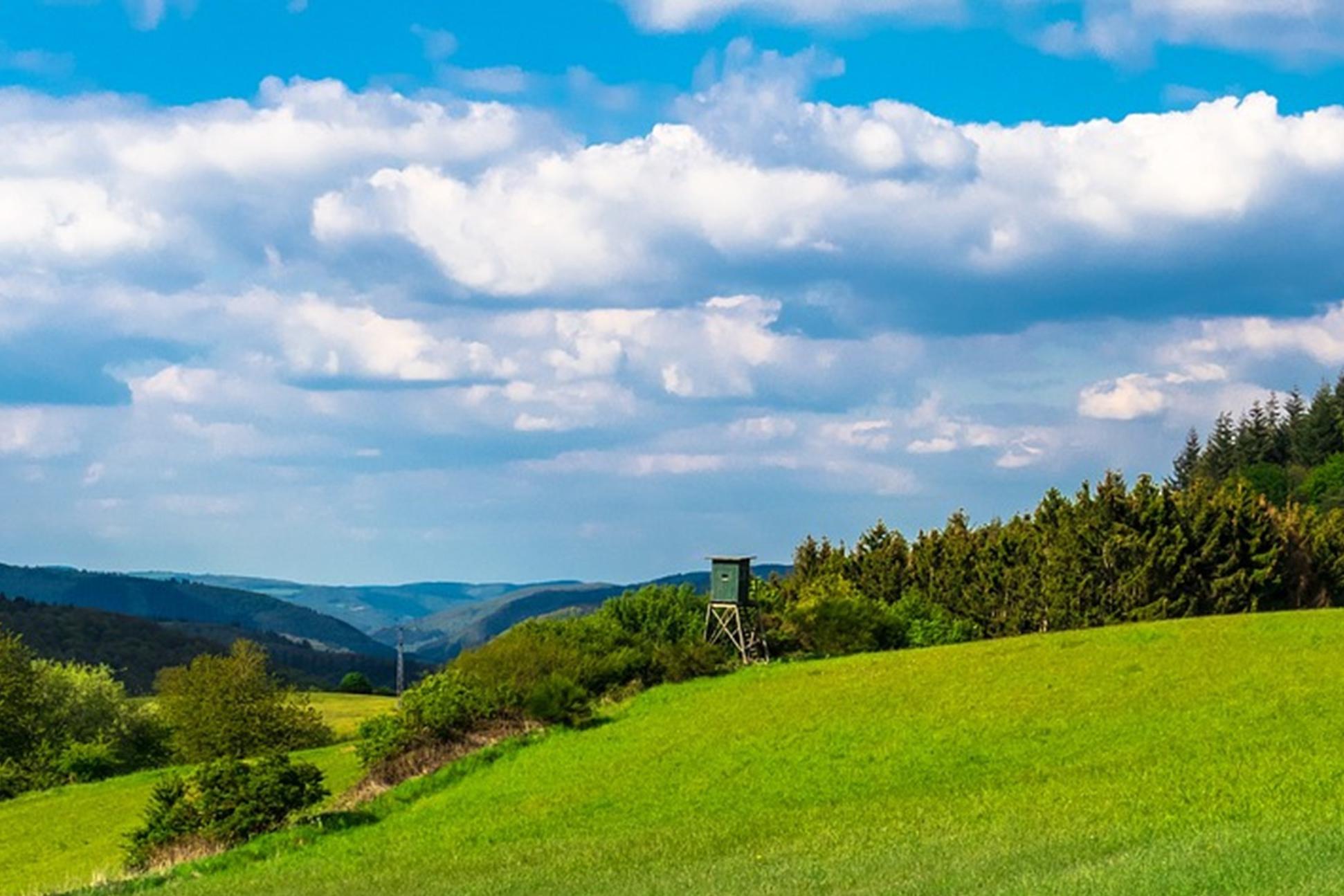 Blick auf eine grüne Landschaft. Der Himmel hat weiße Wölkchen