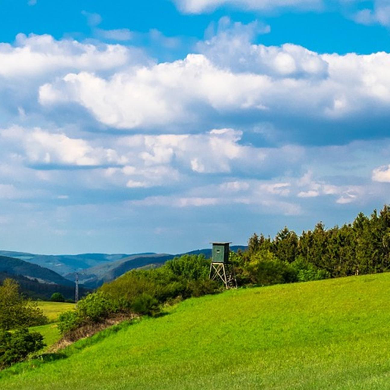 Blick auf eine grüne Landschaft. Der Himmel hat weiße Wölkchen