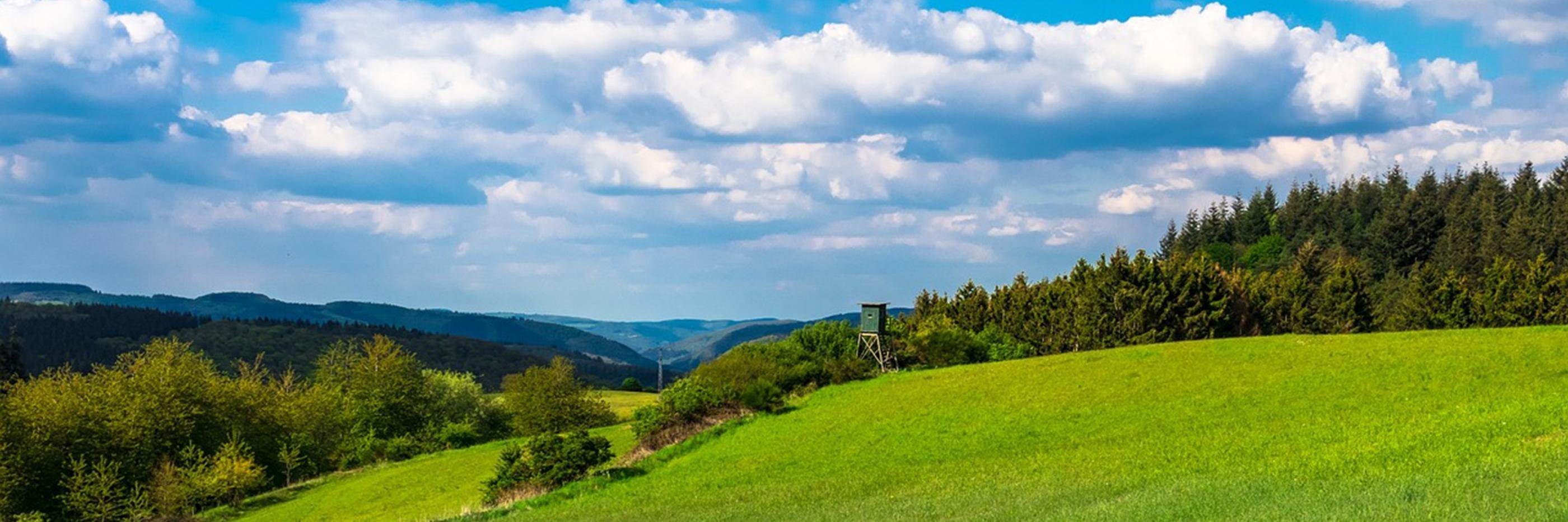 Blick auf eine grüne Landschaft. Der Himmel hat weiße Wölkchen