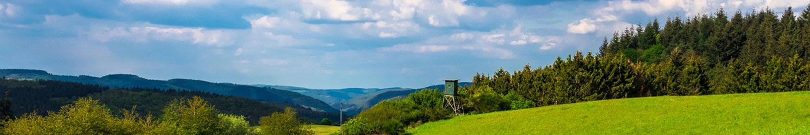 Blick auf eine grüne Landschaft. Der Himmel hat weiße Wölkchen