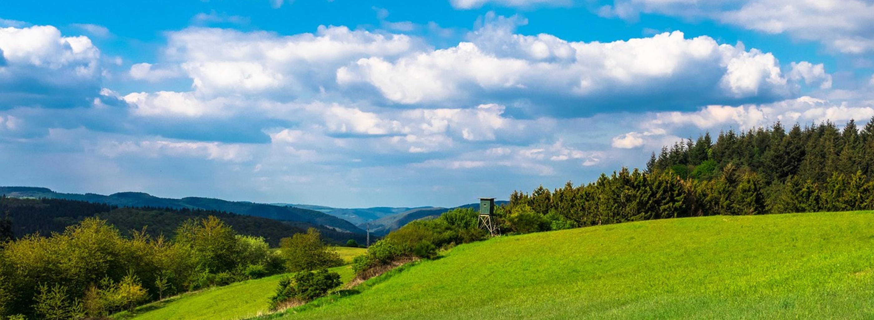 Blick auf eine grüne Landschaft. Der Himmel hat weiße Wölkchen