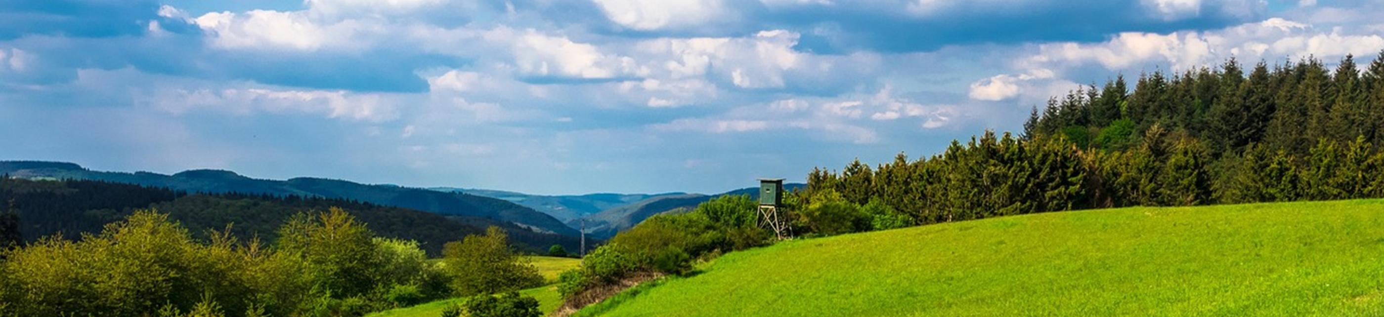 Blick auf eine grüne Landschaft. Der Himmel hat weiße Wölkchen