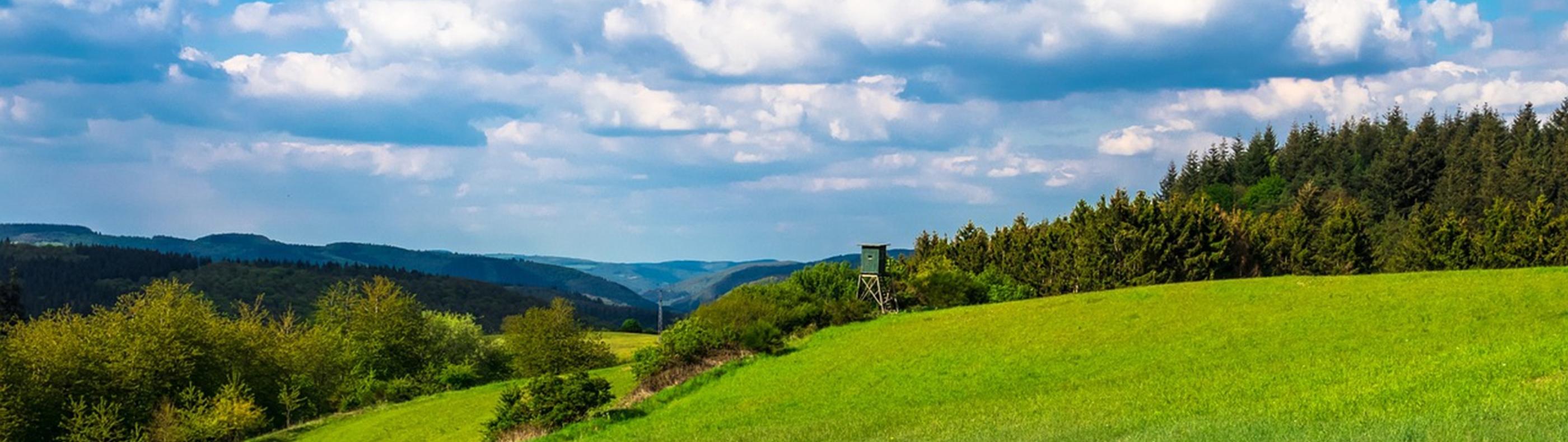 Blick auf eine grüne Landschaft. Der Himmel hat weiße Wölkchen