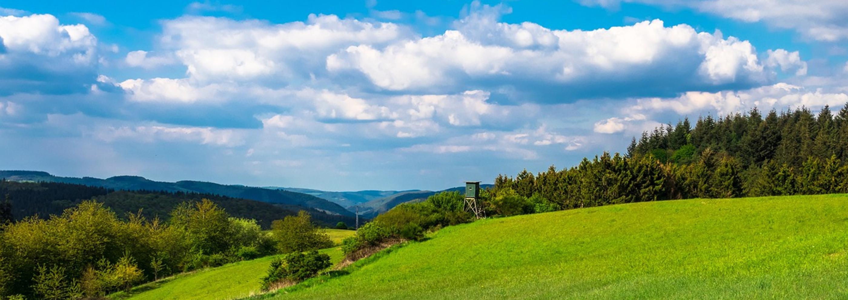 Blick auf eine grüne Landschaft. Der Himmel hat weiße Wölkchen