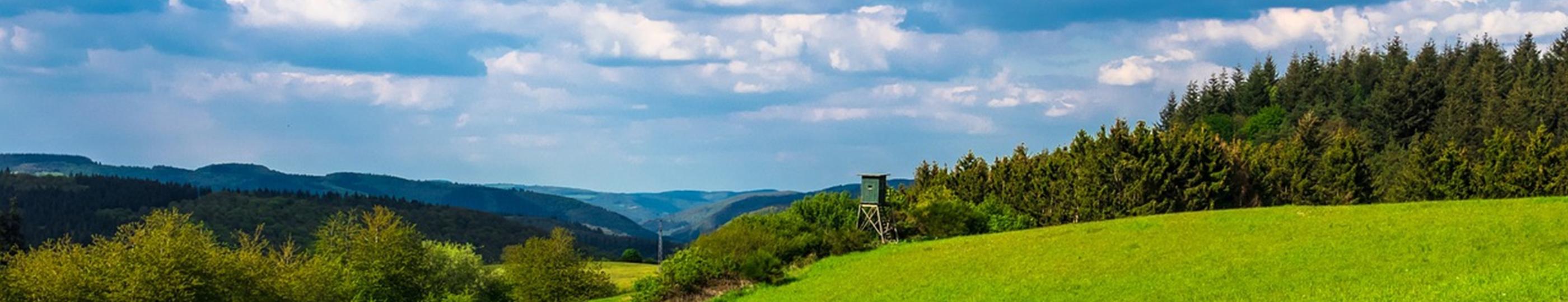 Blick auf eine grüne Landschaft. Der Himmel hat weiße Wölkchen