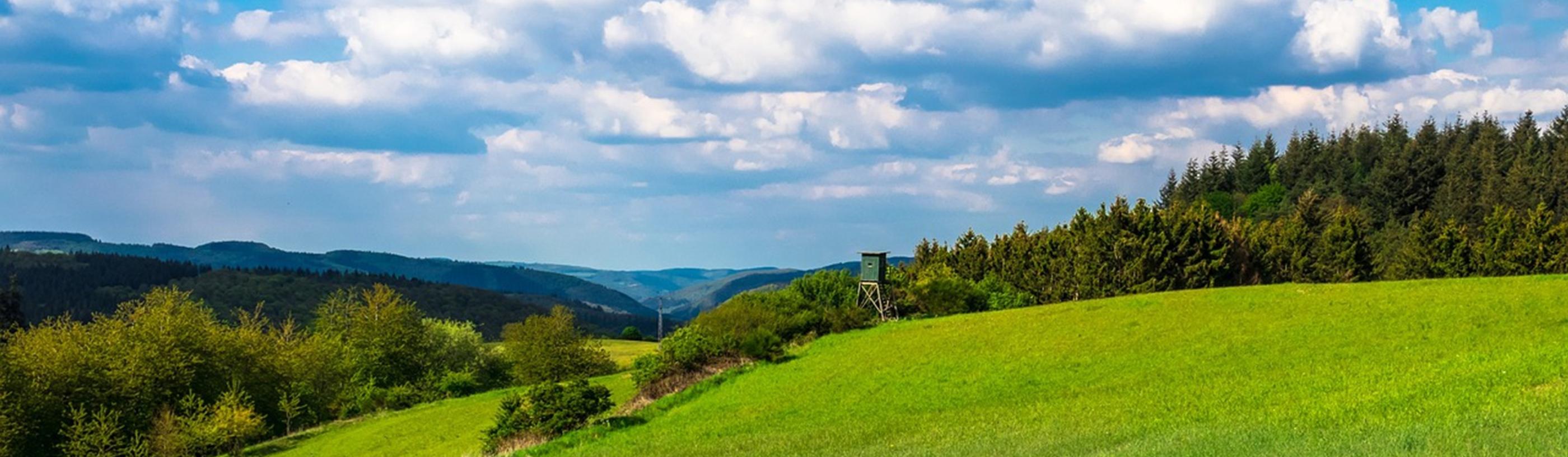 Blick auf eine grüne Landschaft. Der Himmel hat weiße Wölkchen