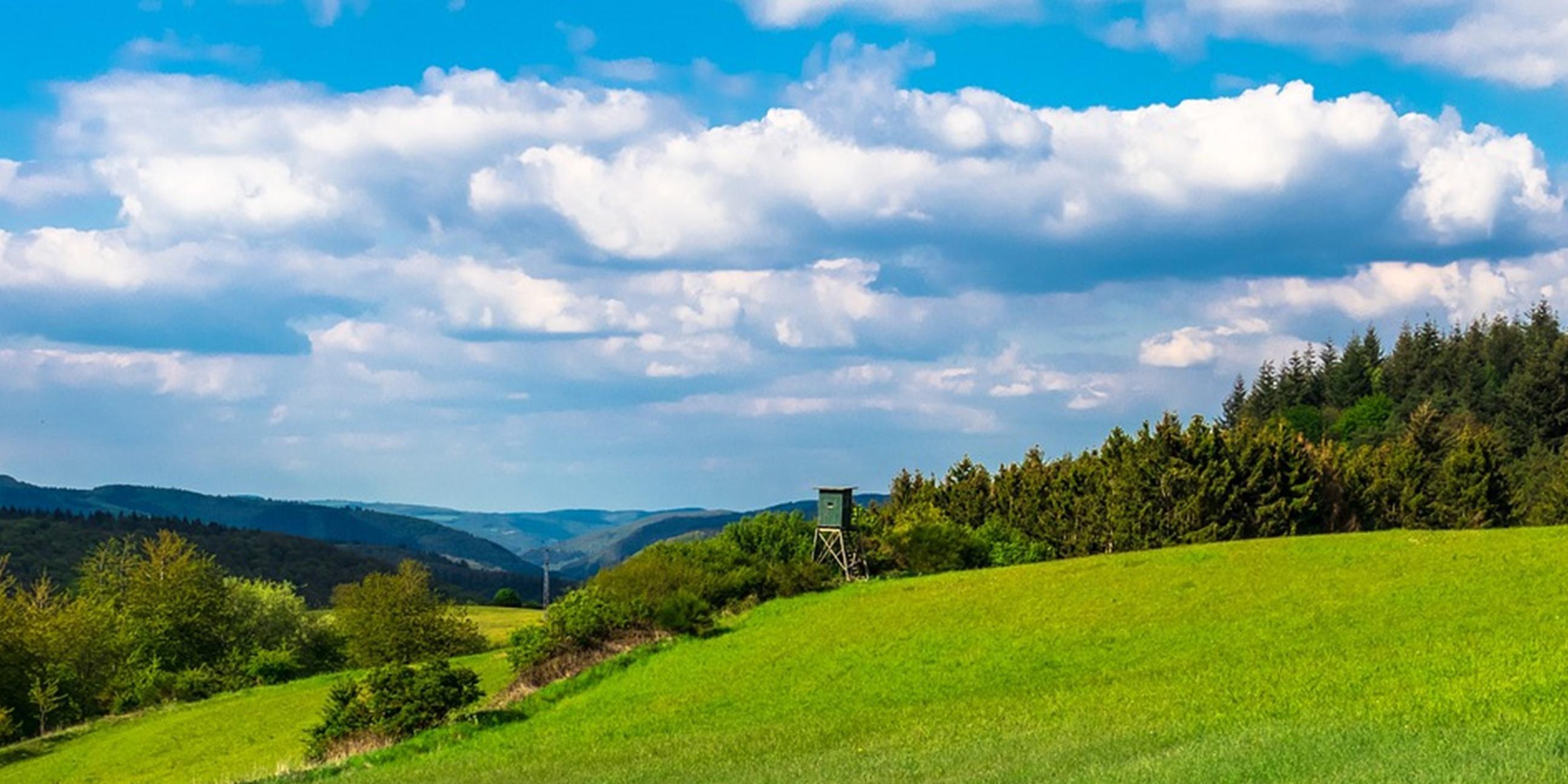 Blick auf eine grüne Landschaft. Der Himmel hat weiße Wölkchen