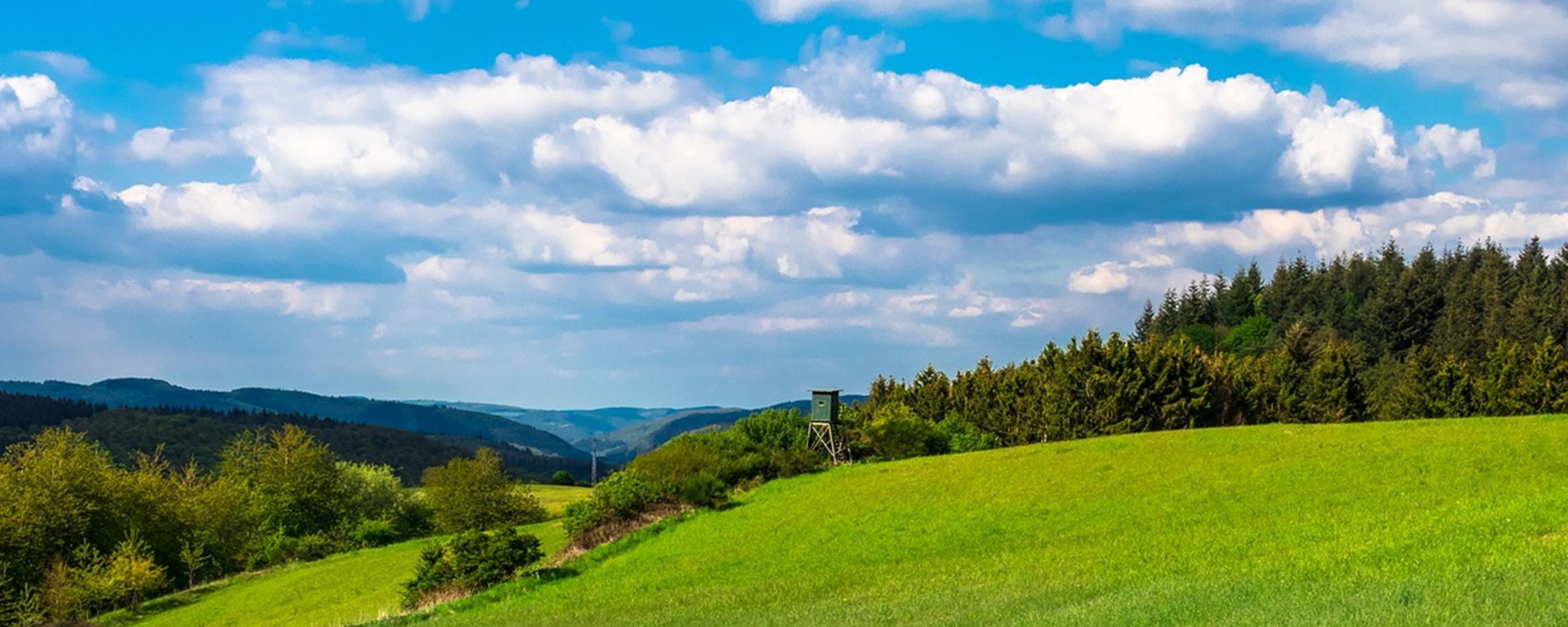 Blick auf eine grüne Landschaft. Der Himmel hat weiße Wölkchen