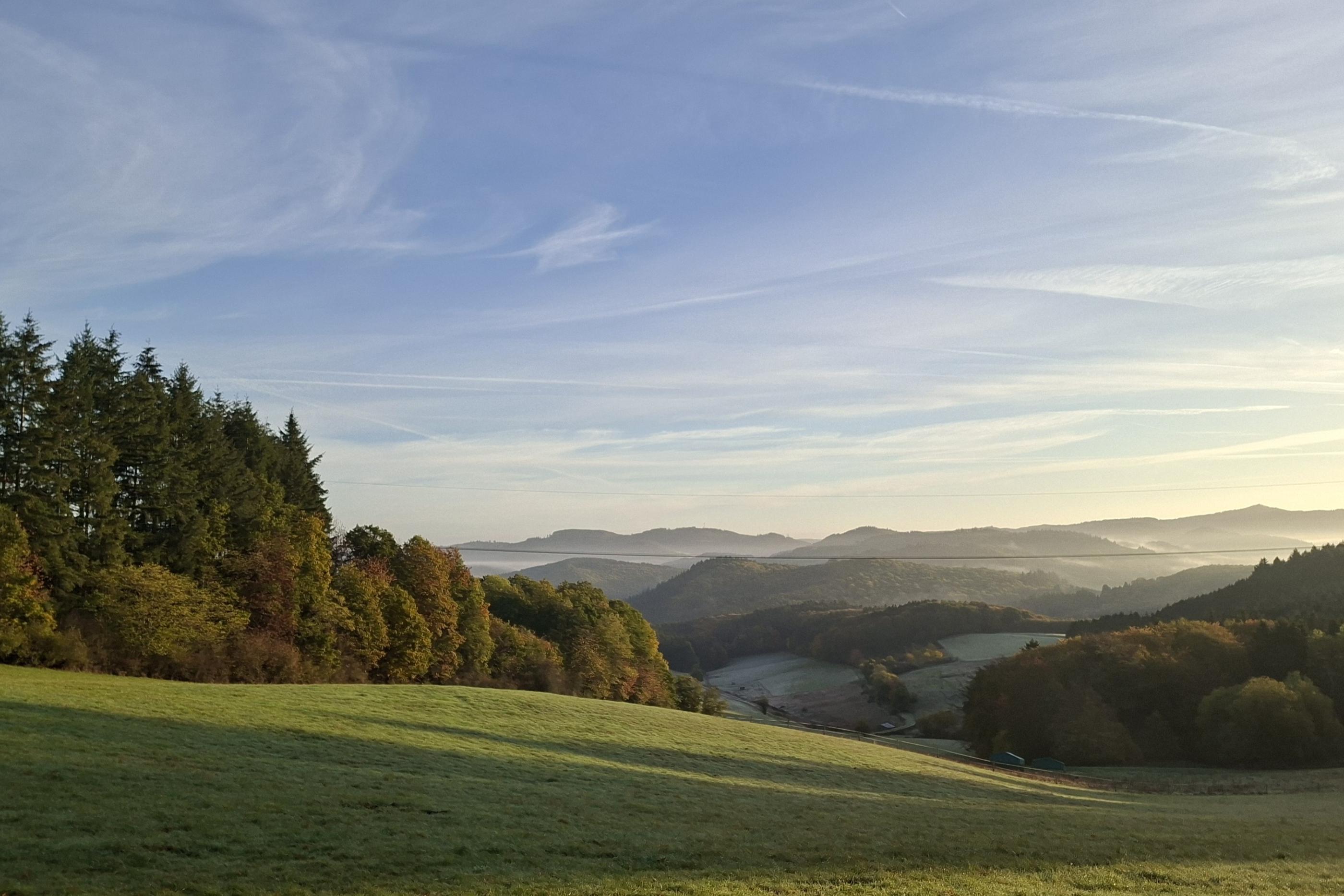Herbst 2-1
