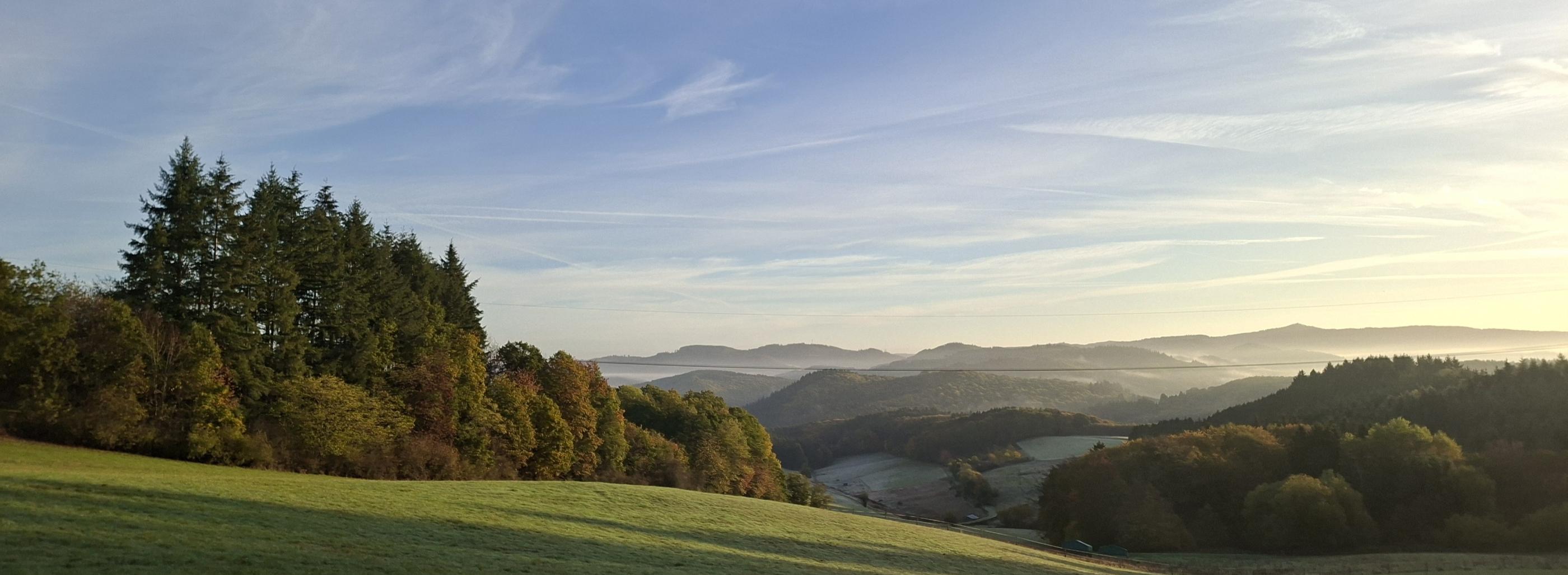 Herbst schmal